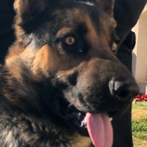 Meet your Posher, Steven